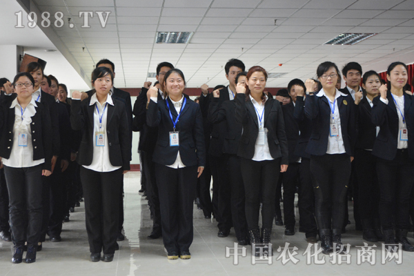 沒有完美的個(gè)人,只有完美的團(tuán)隊(duì)